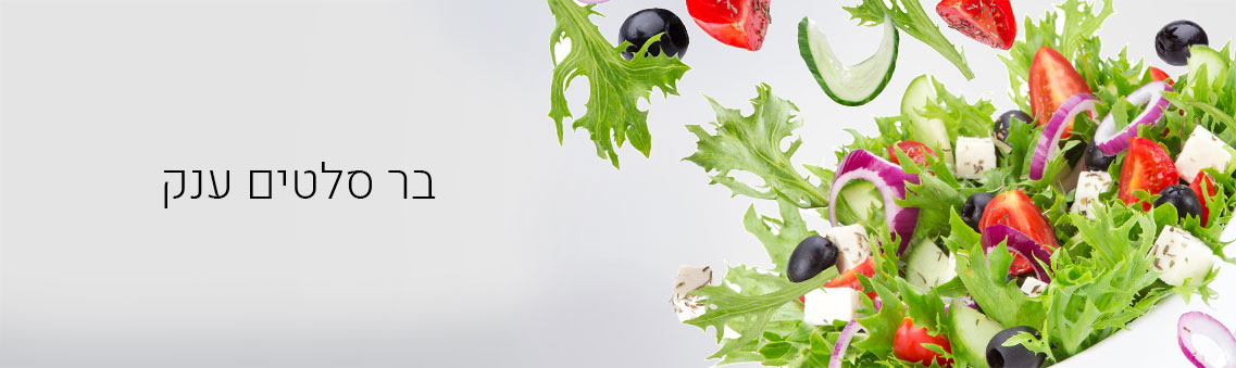 סלטים מפגש השייח